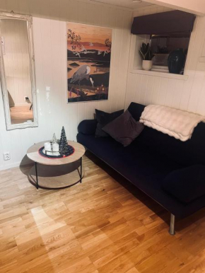 Cozy 1 bedr apartment close to everything!